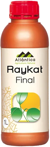 РАЙКАТ Фінал